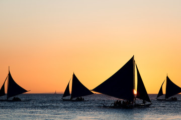 Sailing boats at sunset