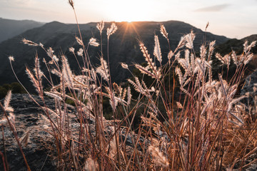 Light at the horizon in the Simien Mountains in Ethiopia
