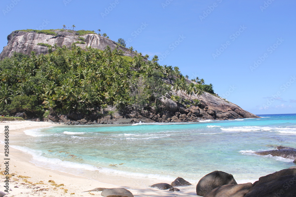 Wall mural north island seychelles beach indian ocean palms