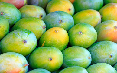 Many green mangoes