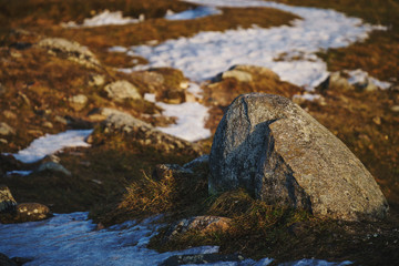 Stone surrounded by melting snow on a sunny spring evening