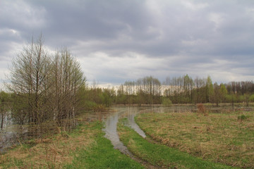Spill of the river in the fields in early spring in cloudy weather.