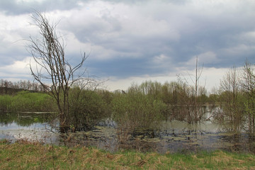 Spill of the river in the fields in early spring in cloudy weather.