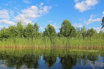 Obraz premium Silhouettes of trees are reflected in the forest lake. Fantastic landscape. Unusual and picturesque scene. Russia.