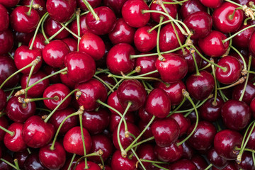 Red Cherry Background