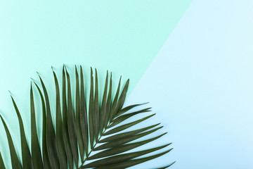 Fototapeta premium Palm leaves on colored paper. Summer mood, tropical background, blank.