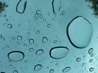 goutte