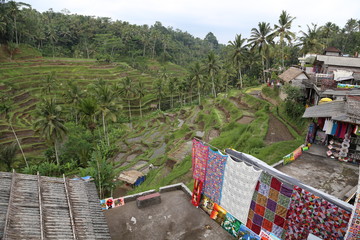 Sarongs in Tegellalang
