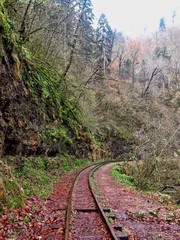 Old railway in the autumn forest in Adygea.
