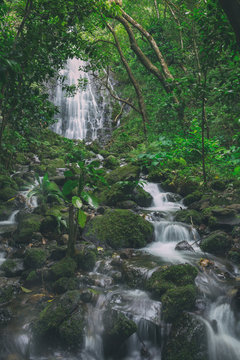 View of Hamama falls on Oahu island, Hawaii