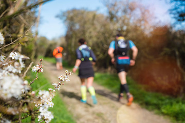 joggeurs dans les chemins au printemps