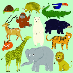 Animal Cute Illustration