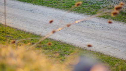 Donau Urlaub Frühling