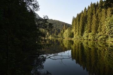 Forested mountains, fog, reflection on the water. Lacul Rosu, Harghita County, Carpathians, Romania