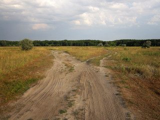 Summer scene with sandy road fork on the meadow and forest on the horizon.