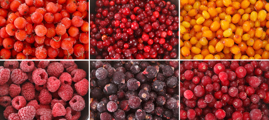 Set of frozen rowan berries. View from above.