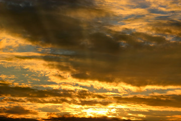 Fototapeta premium Sunset over trees in France