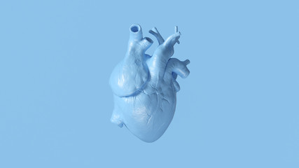 Pale Blue Anatomical Heart 3d illustration 3d render