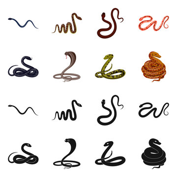 Vector design of mammal and danger logo. Collection of mammal and medicine stock symbol for web.