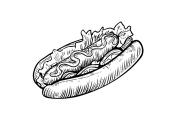 Hand drawn hot dog sketch, draft drawing on white background, vintage etching. Vector food illustration.