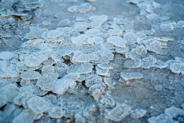Salt lake. Elton. Footprints in the sand.