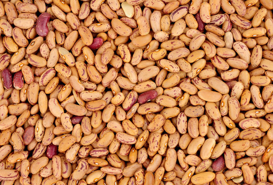 Rosecoco bean background also known as Roman beans
