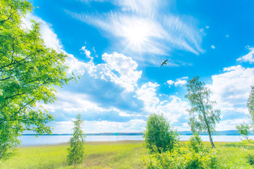 Fototapeta na wymiar Summer lake landscape from Sotkamo, Finland.