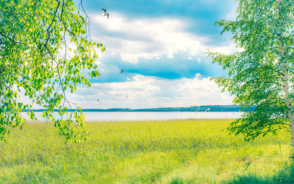 Sotkamo Bilder Durchsuchen 1,862 Archivfotos, und