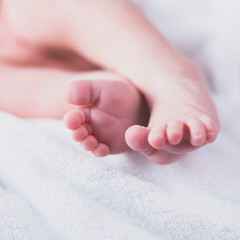 Newborn baby on a white blanket - tiny baby feet closeup - 258701060