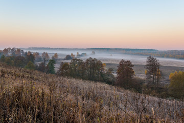 Morning river in forest