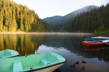 Boats anchored in the lake, forested mountains, fog, ducks, reflection on the water. Lacul Rosu, Harghita County, Carpathians, Romania