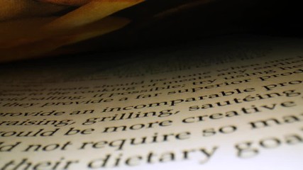 Macro travel through the pages of a book