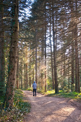 Obraz premium In the right path