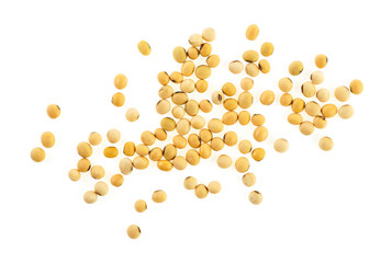 Soy beans on a white background, top view.