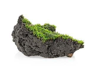 Green moss and pile dirt isolated on a white background