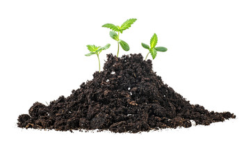 Pile of black garden soil over white background