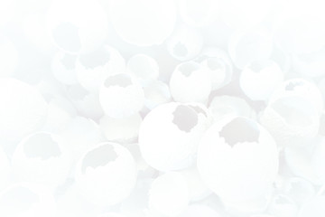 Cracked eggs pattern as white and gray background. Top view, flat lay, selective focus. Easter creative minimal concept. Eggshell texture for art background.