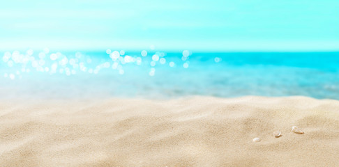 Fototapeta na wymiar Shells on sandy beach.