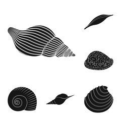 Vector illustration of nature  and ocean logo. Set of nature  and mollusk stock vector illustration.