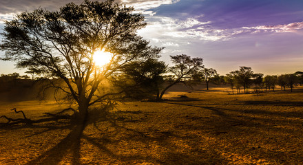 Naklejka premium Namibia
