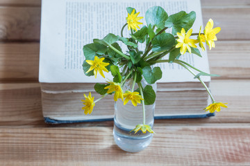 yellow flowers and open book. flowers and book.