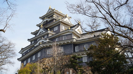 Fototapeta premium 岡山城