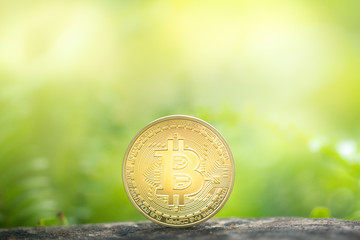 Golden bitcoin on greenery background