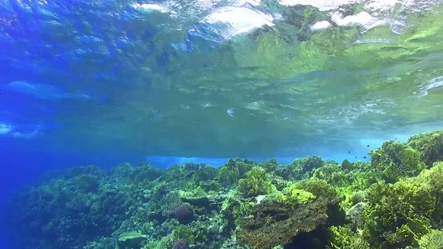 Wellen ziehen &uuml;ber Korallenriff im Roten Meer