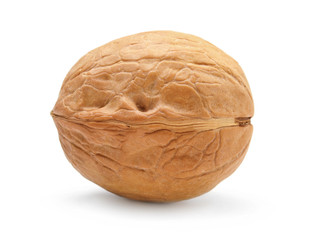 Walnut isolated on white