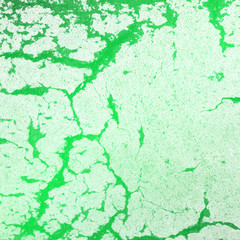 w_s_2_8_6