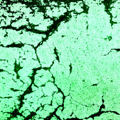 w_s_2_8_10