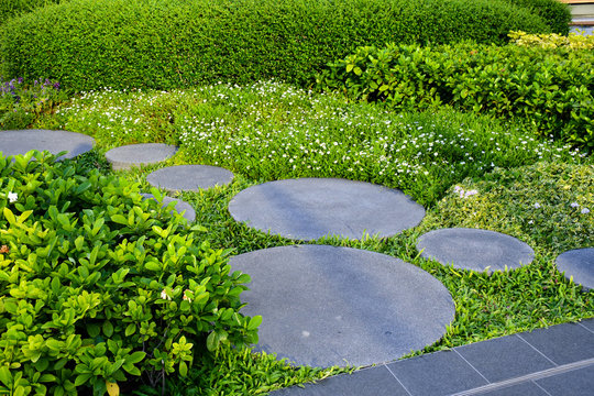 Stepping stone path way in a garden, Concept image for landscape design.