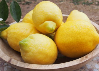 Yellow lemons on a wooden dish, just plucked from the tree. Vitamin C