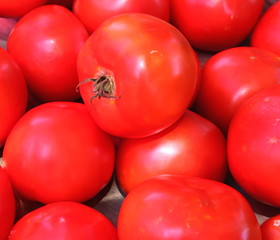Ripe Tomatoes at Outdoor Market